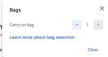 Bags selector set to one carry-on bag, with the minus and plus controls visible. The example search does not show a checked-bag option.