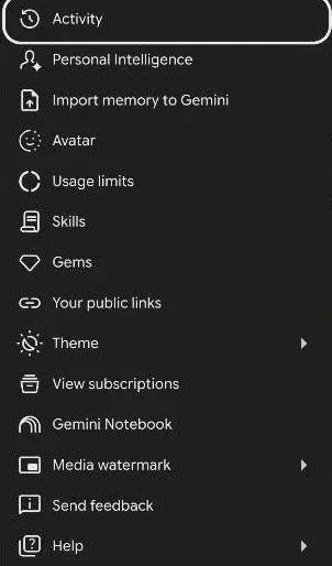Gemini settings menu listing Activity, Usage limits and Your public links