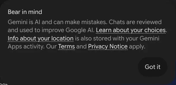Gemini first-use note saying Gemini can make mistakes and chats are reviewed and used to improve Google AI