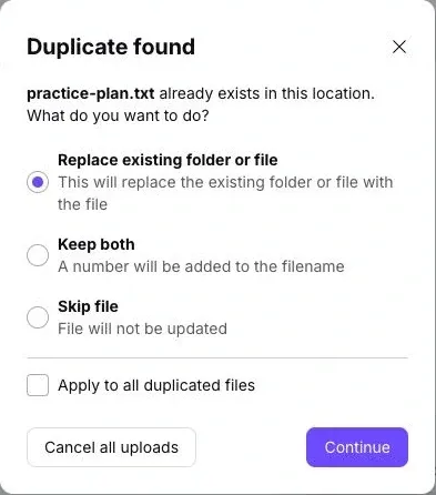 Proton Drive Duplicate found dialog with Replace existing folder or file selected