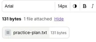 Proton Mail attached practice text file with Show and Hide attachment details